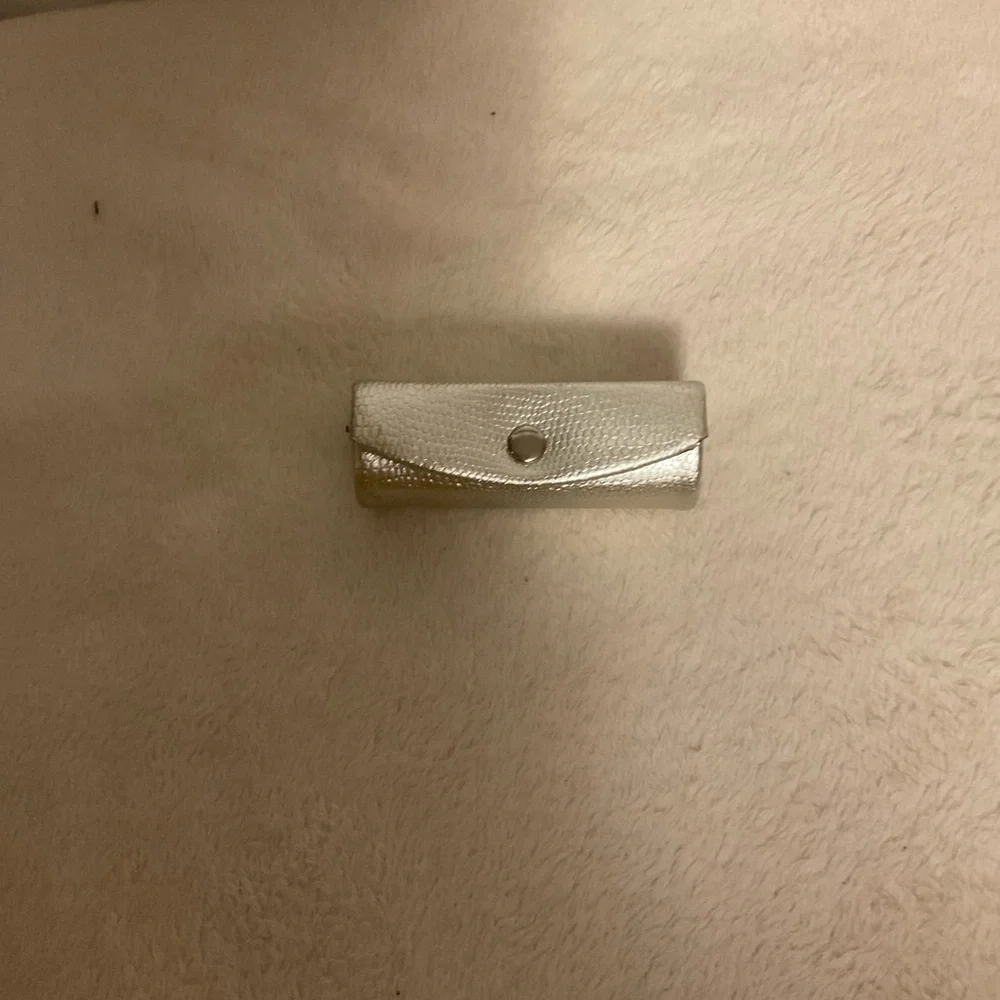 Elegant Silver Cosmetic Case
